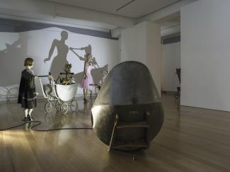 ‘Judith Wright: Desire’. Installation view, QUT Art Museum, 2014-2015. Photograph Carl Warner. Courtesy the artist.